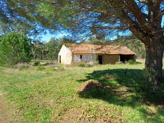 Grândola Grândola 90371887