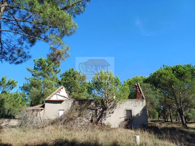Grândola Grândola 90374799