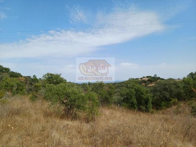 Grândola Grândola 90375058