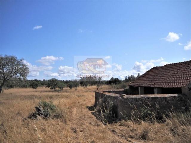 Grândola Grândola 90376856