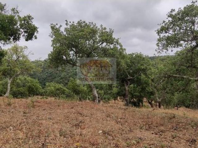 Grândola Grândola 99487526