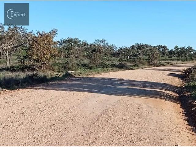 Grândola Grândola 100543850