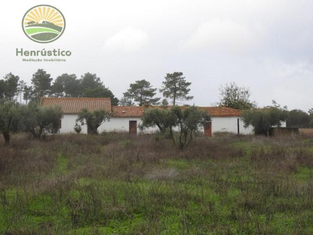Grândola Grândola 100965975
