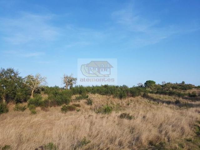 Grândola Grândola 101035939