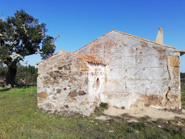 Grândola Grândola 101035956