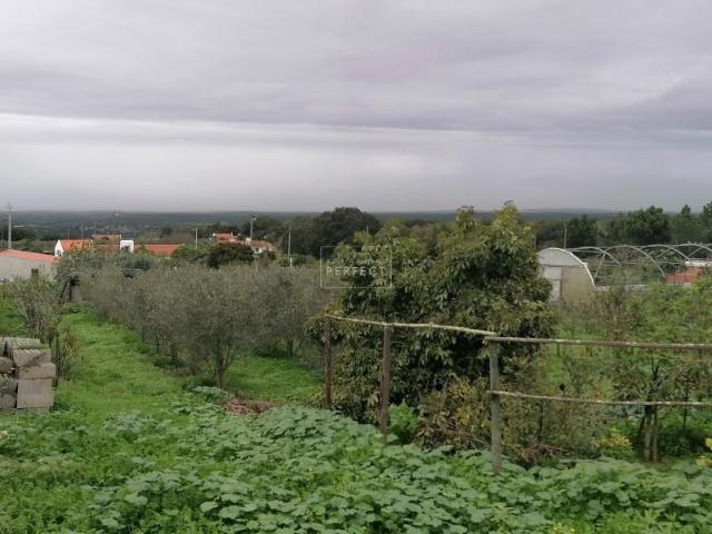 Grândola Grândola 102364611