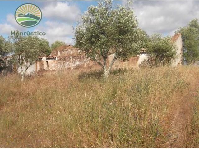 Grândola Grândola LS103409816