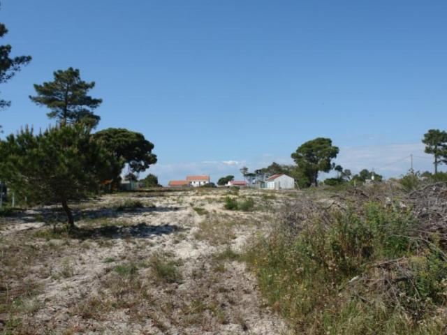 Grândola Grândola 103946919