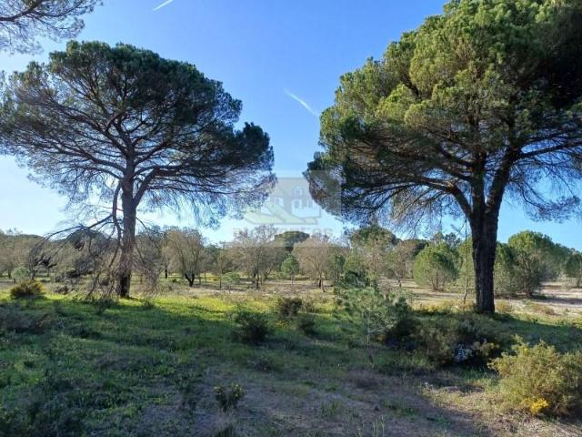 Grândola Grândola 103135630
