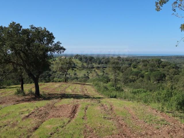 Grândola Grândola LS103365716