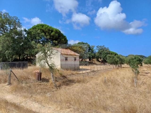 Grândola Grândola 104830725