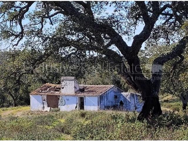 Grândola Grândola 105674326