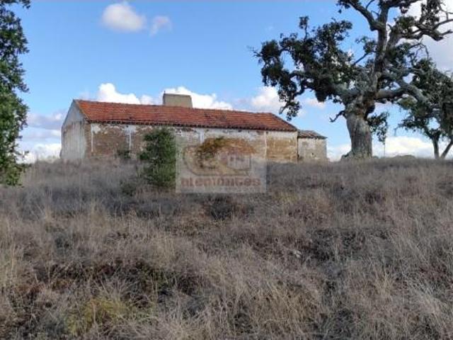 Grândola Grândola 105682966