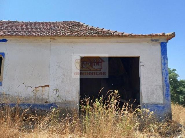 Grândola Grândola LS101035937