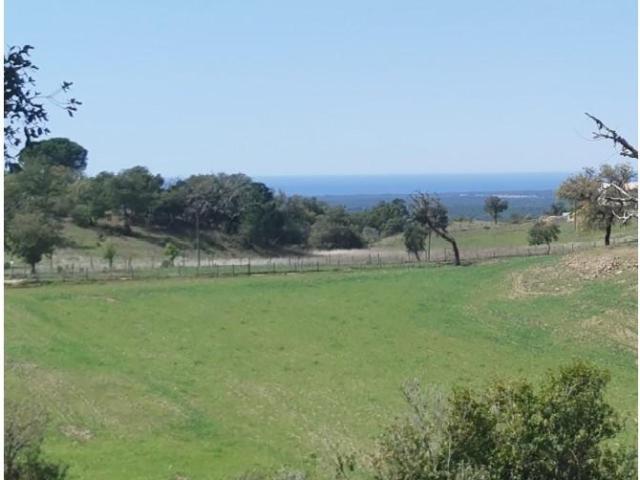 Grândola Grândola LS87596197