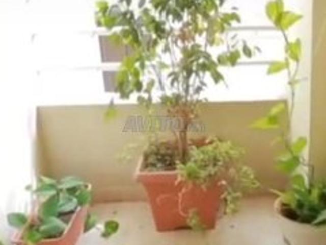 Grande appartement a val fleuri casa