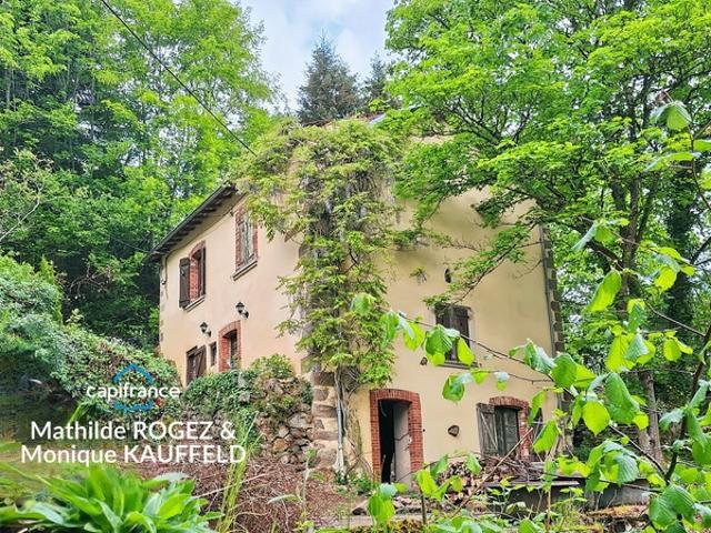 Grande demeure de charme + gîte + grand terrain Tours sur Meymont