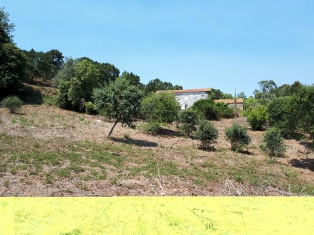 ️ GRANDE OPORTUNIDADE DE INVESTIMENTO EM SINTRA 17.000 m²! ️