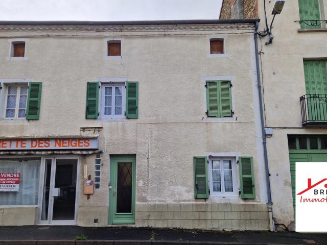 Grande maison avec terrain