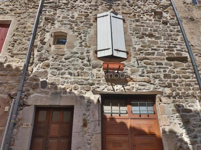 Grande maison de village Mialet