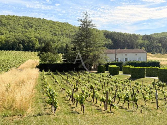 Grande maison, dépendances et piscine, au calme entre Cahors et Prayssac