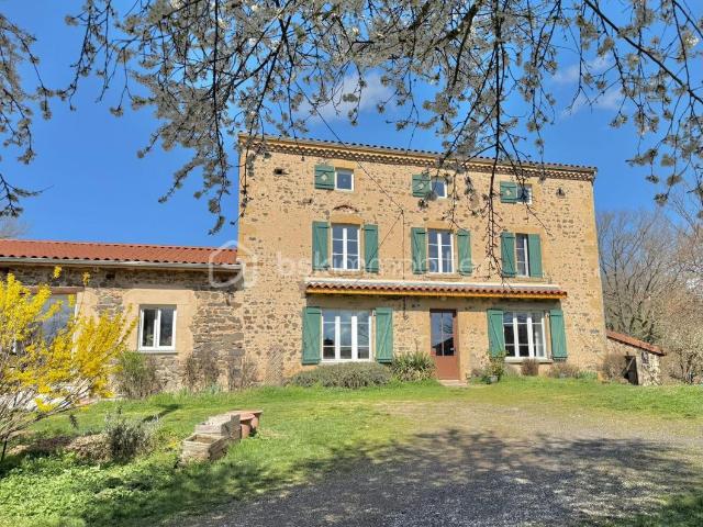 Grande maison en pierre rénovée avec dépendances/850m2 de terrain