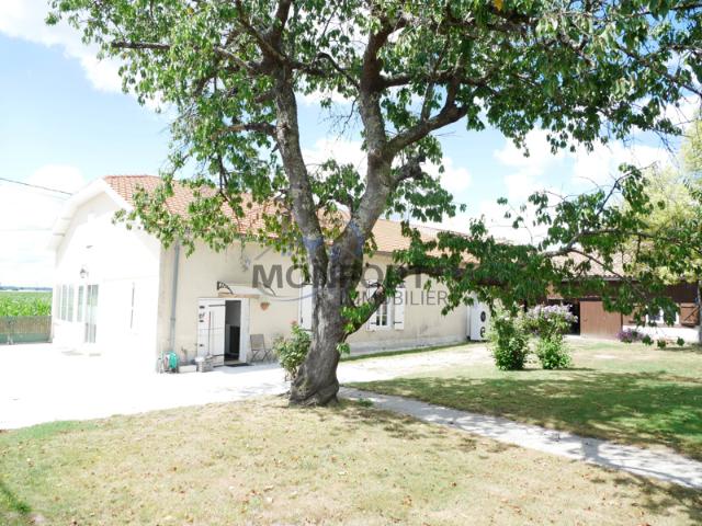 Grande maison en pierre rénovée avec T2 indépendant, dépenda