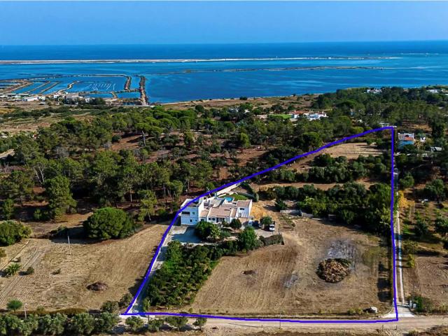 Grande Propriedade em Livramento com Casa, Anexos, Pátio e Piscina, Perto do Mar