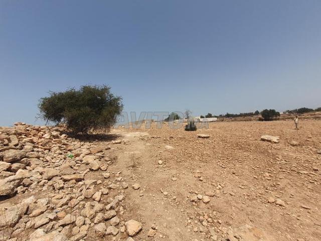 Grande terre de 6500 m²