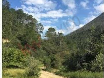 GRANDE TERRENO EN VENTA UBICADO EN LOS LIRIOS EN ARTEAGA