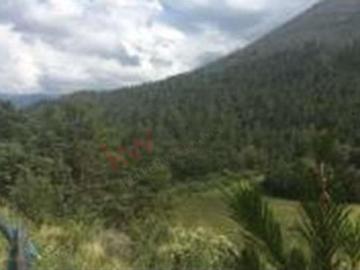Grande terreno en venta ubicado en los lirios en arteaga