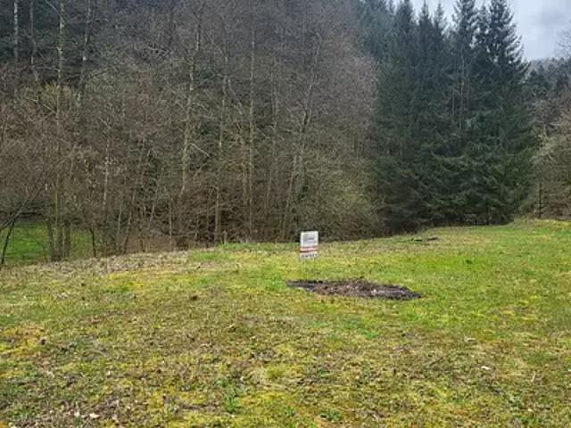Grandfontaine 67130 Achat / Vente terrain