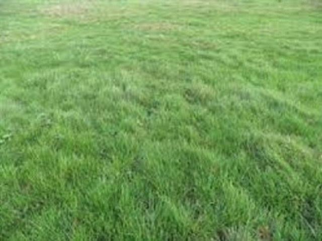 Grandpuits Bailly Carrois Vente Terrain 77