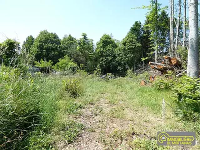Grandparigny 50600 Achat / Vente terrain