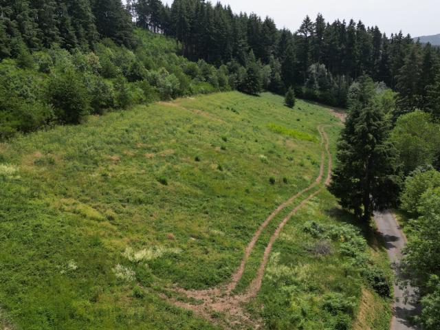 Grandris Vente Terrain 69