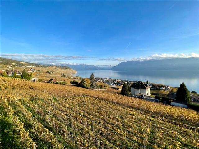 Grandvaux Außergewöhnliche Wohnung mit Panoramablick