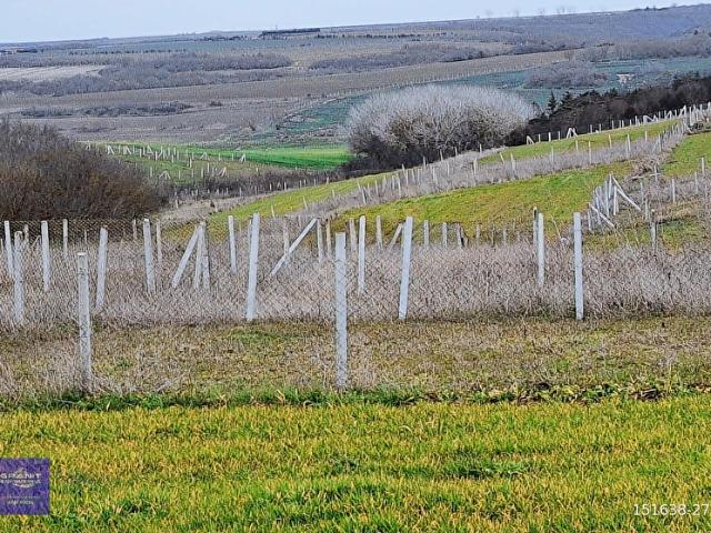 GRANİT GAYRİMENKUL DEN SİLİVRİ BALABANDA 250 M2 ARSA