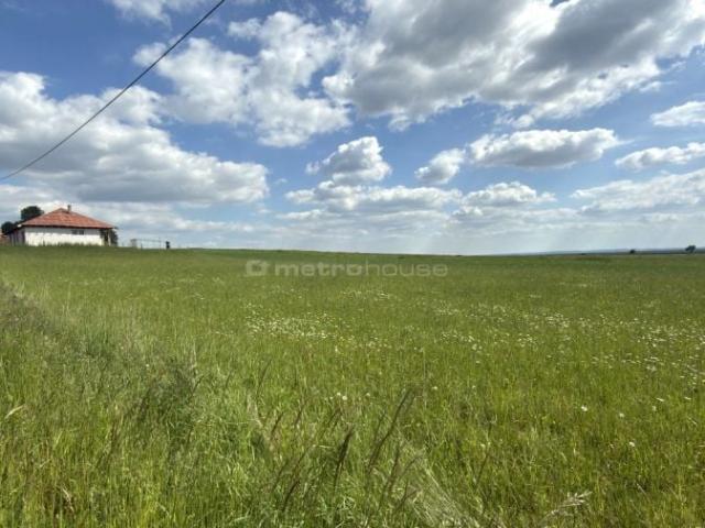 Graniczna 1 381 m², Cynków