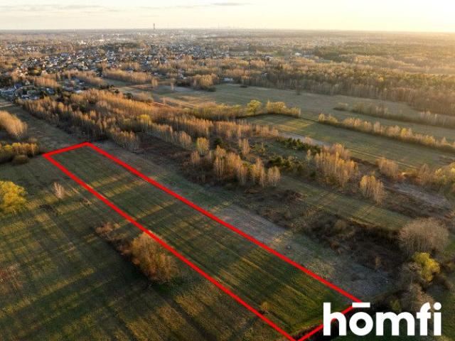 Graniczna 7 037 m², Dobczyn