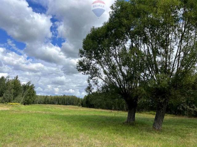 Graniczna 9 500 m², Pustelnik