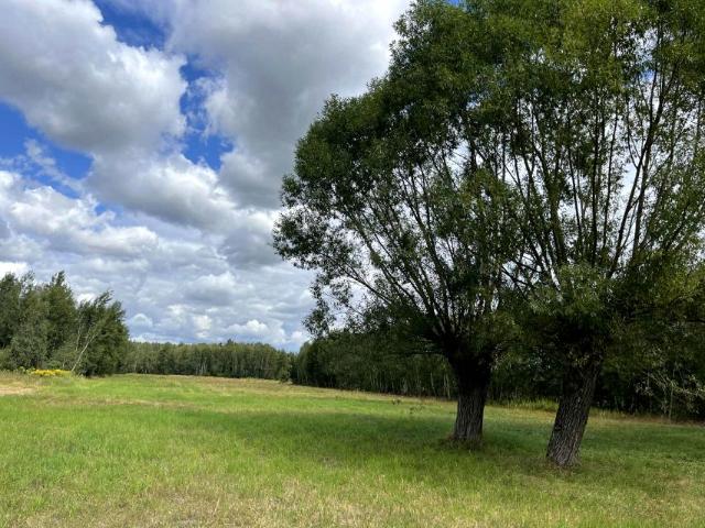 Graniczna 9 500 m², Pustelnik