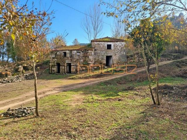 Granja 3 quarto, Cinfães Cinfães DLS98796291