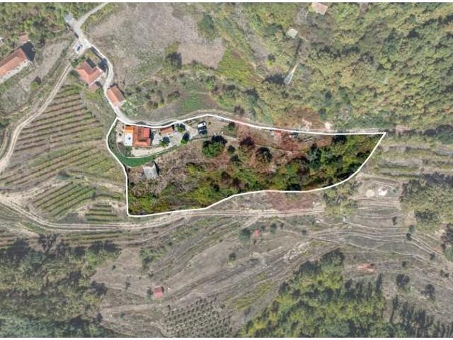 Granja 3 quarto, Cinfães Cinfães 4690 673 DS95846193