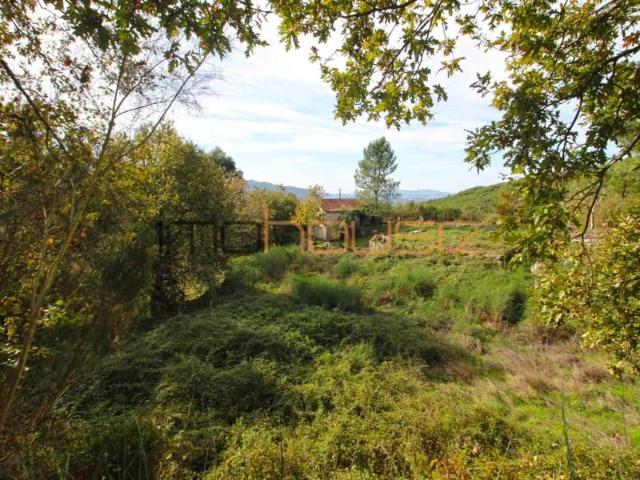 Granja 3 quarto, Amarante Amarante DS101380706