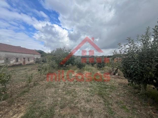 Granja 3 quarto, Bombarral Bombarral DLS100127557