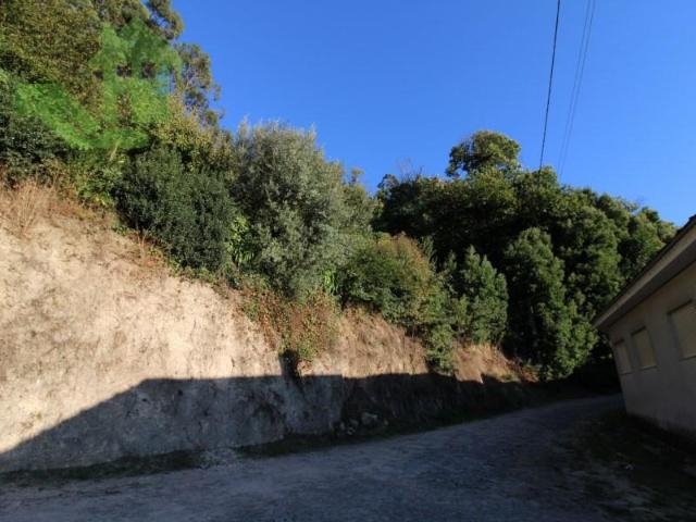 Granja 3 quarto, Braga Braga DLS99296944