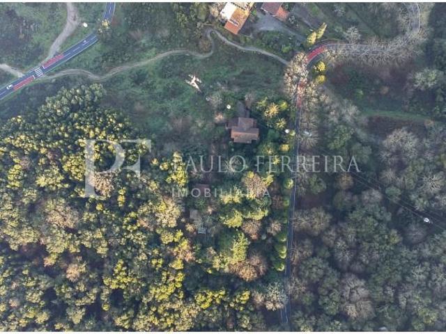 Granja 3 quarto, Guimarães Guimarães DLS101869290