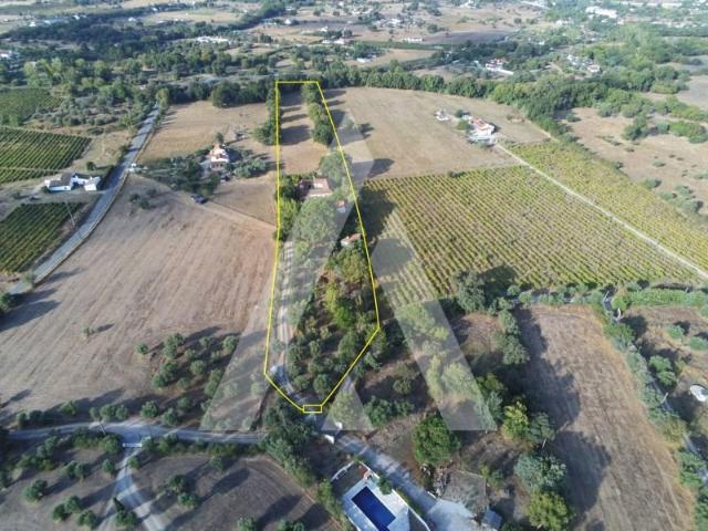 Granja 3 quarto, Évora Évora DS90976792
