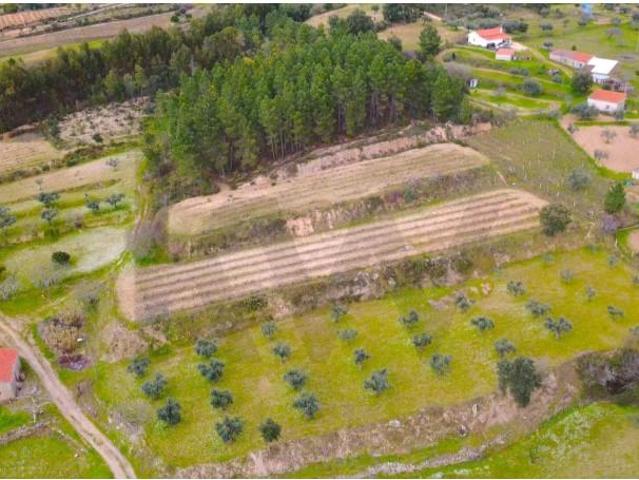 Granja 3 quarto, Fundão Fundão DLS102722876