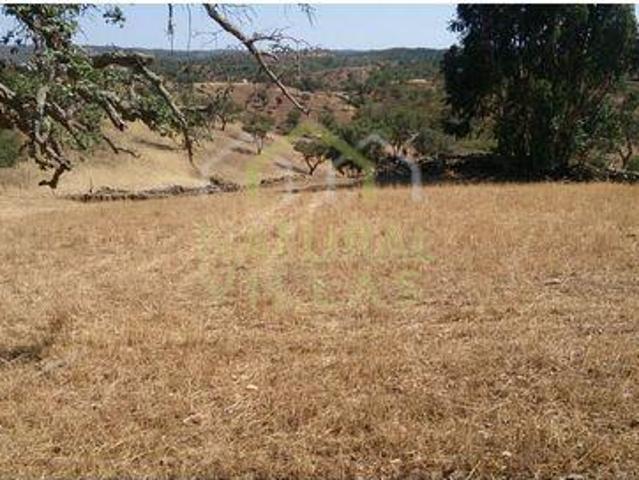 Granja 3 quarto, Loulé Faro DLS82383667